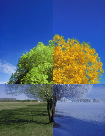 seasons